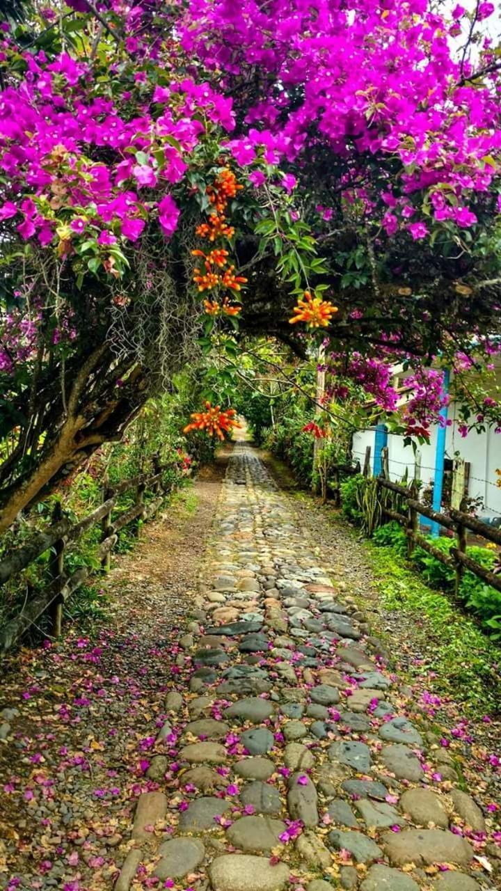 Hotel Dulce Campestre Jardín Eksteriør billede